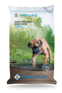 Healthy Dog PUPPY